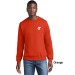 Adult Crewneck Sweatshirt - COACH Screen Print